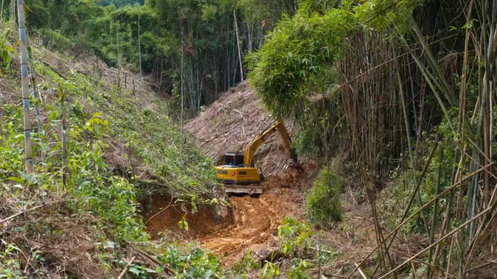 林間“藏龍”，竹?！芭P虎”——徐工林業(yè)挖機(jī)廣西俠客行